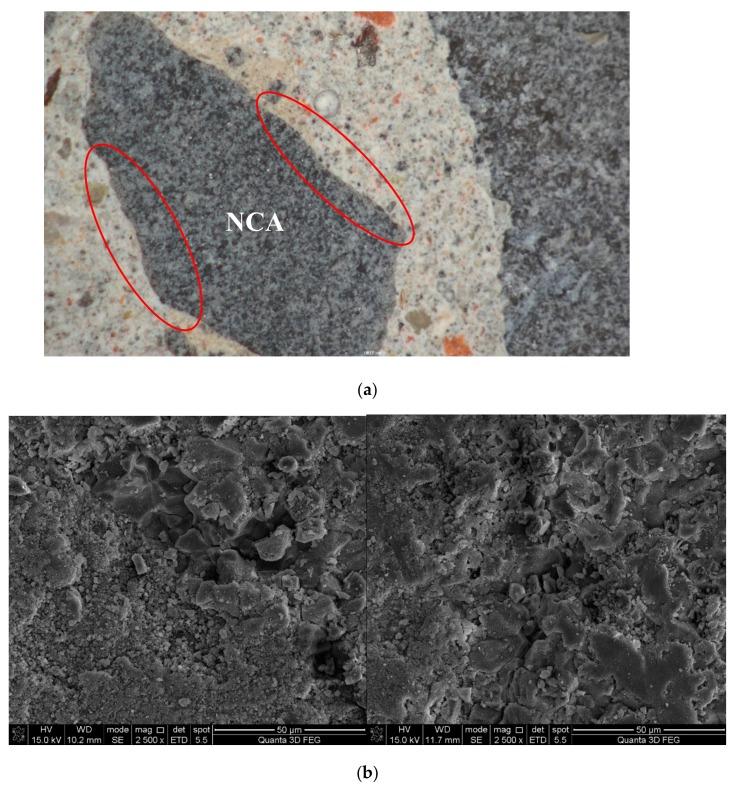 https://cdn.ncbi.nlm.nih.gov/pmc/blobs/413a/6947320/ce4ea36f7f67/materials-12-04237-g009.jpg