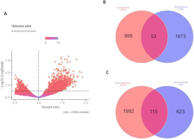 https://cdn.ncbi.nlm.nih.gov/pmc/blobs/413c/12092824/0b5d5e2499e7/41598_2025_2189_Fig3_HTML.jpg