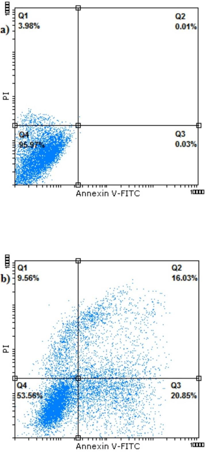 https://cdn.ncbi.nlm.nih.gov/pmc/blobs/413c/12092824/391f3840f188/41598_2025_2189_Fig13_HTML.jpg