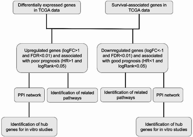 https://cdn.ncbi.nlm.nih.gov/pmc/blobs/413c/12092824/60b2a190291e/41598_2025_2189_Fig1_HTML.jpg