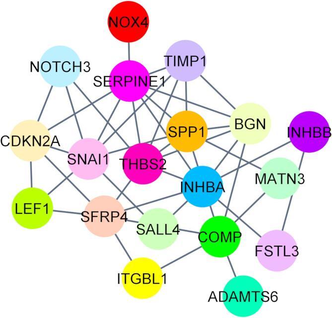 https://cdn.ncbi.nlm.nih.gov/pmc/blobs/413c/12092824/803d77a277df/41598_2025_2189_Fig5_HTML.jpg