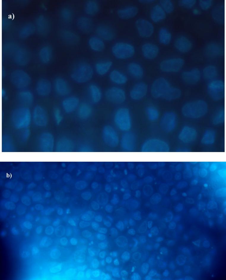 https://cdn.ncbi.nlm.nih.gov/pmc/blobs/413c/12092824/8fe799afb493/41598_2025_2189_Fig15_HTML.jpg