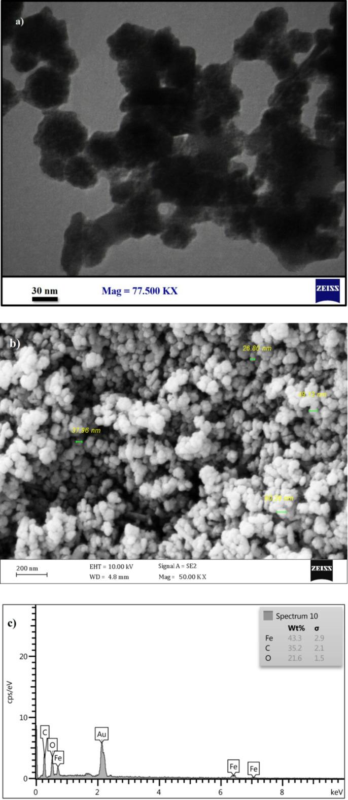 https://cdn.ncbi.nlm.nih.gov/pmc/blobs/413c/12092824/9aeae9818c75/41598_2025_2189_Fig9_HTML.jpg