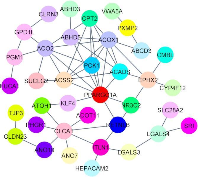 https://cdn.ncbi.nlm.nih.gov/pmc/blobs/413c/12092824/c596341d0c69/41598_2025_2189_Fig6_HTML.jpg