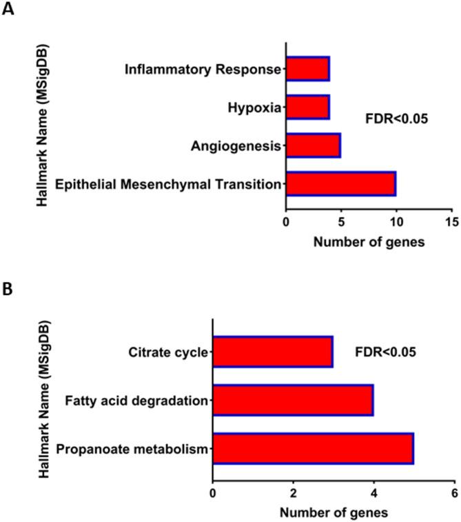 https://cdn.ncbi.nlm.nih.gov/pmc/blobs/413c/12092824/d5788a849dbe/41598_2025_2189_Fig4_HTML.jpg