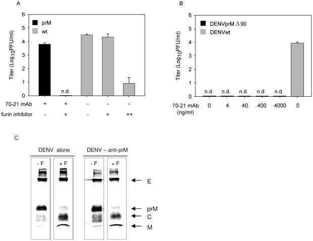 https://cdn.ncbi.nlm.nih.gov/pmc/blobs/413c/2798752/fcce930fe0fb/ppat.1000718.g003.jpg