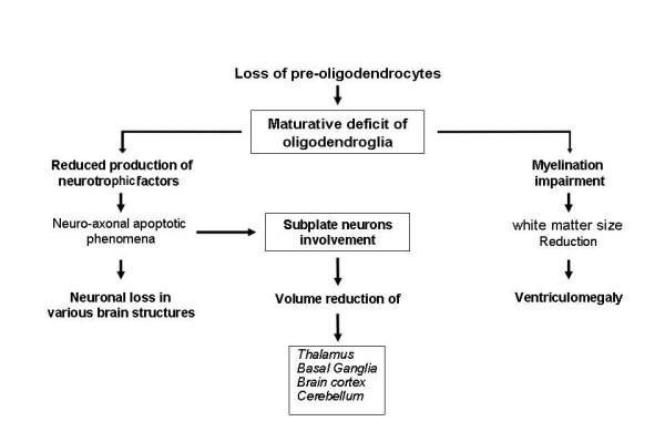 https://cdn.ncbi.nlm.nih.gov/pmc/blobs/413c/2954868/7d1a6310249c/1824-7288-36-63-4.jpg