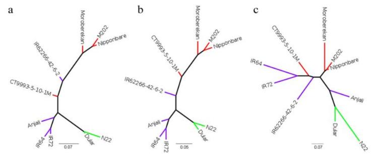 https://cdn.ncbi.nlm.nih.gov/pmc/blobs/413d/7663775/5c3a9ff3507d/ijms-21-08148-g003.jpg