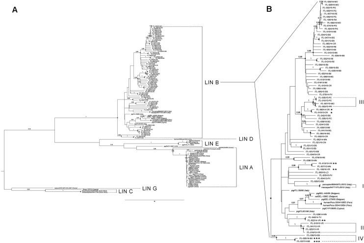 https://cdn.ncbi.nlm.nih.gov/pmc/blobs/413f/9834260/18ffe242c556/41598_2023_27828_Fig4_HTML.jpg