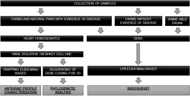 https://cdn.ncbi.nlm.nih.gov/pmc/blobs/413f/9834260/252122a45372/41598_2023_27828_Fig2_HTML.jpg