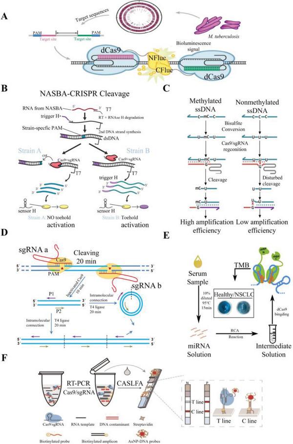 https://cdn.ncbi.nlm.nih.gov/pmc/blobs/4141/10477906/86fd3d2a8390/ADVS-10-2300195-g001.jpg