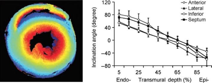 https://cdn.ncbi.nlm.nih.gov/pmc/blobs/4141/5617926/c2da8e722516/PHY2-5-e13404-g001.jpg