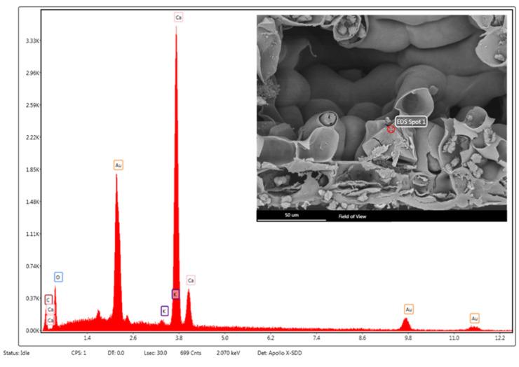 https://cdn.ncbi.nlm.nih.gov/pmc/blobs/4141/9697506/da6f7c6cee17/toxins-14-00726-g005.jpg