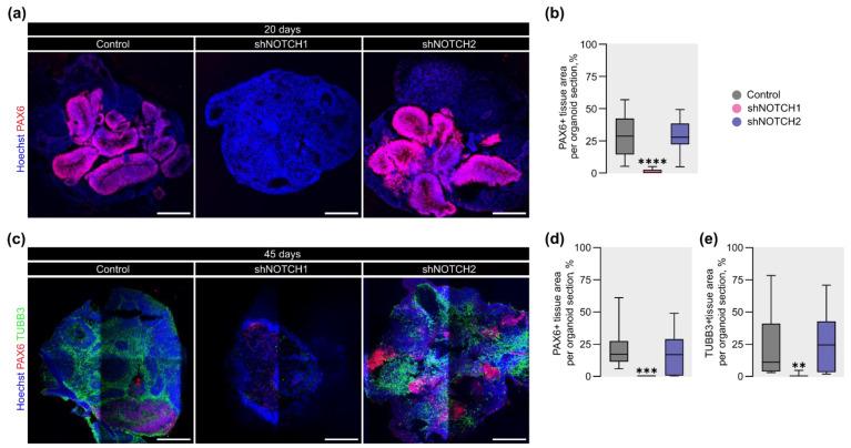 https://cdn.ncbi.nlm.nih.gov/pmc/blobs/4142/12347189/0ad6d551d5c5/ijms-26-07309-g003.jpg