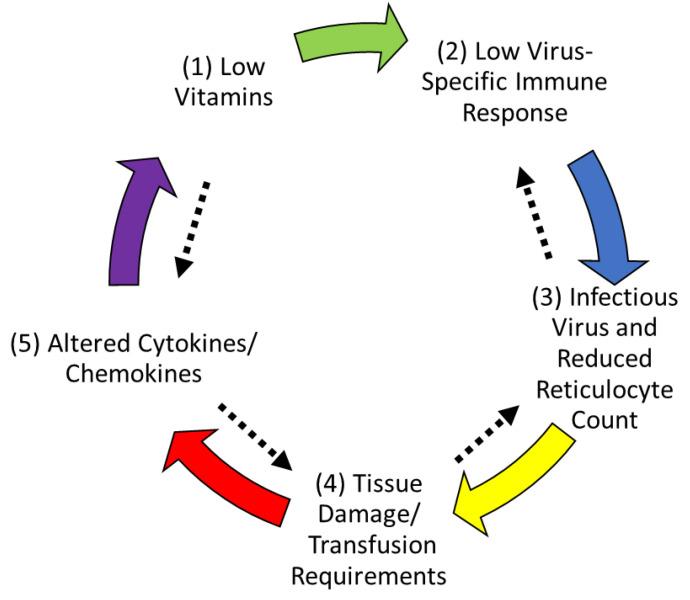 https://cdn.ncbi.nlm.nih.gov/pmc/blobs/4142/9414848/eb6848f7f166/nutrients-14-03415-g004.jpg
