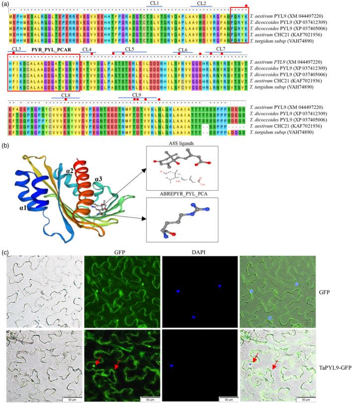 https://cdn.ncbi.nlm.nih.gov/pmc/blobs/4146/11772342/0ff1d40eb369/PBI-23-352-g004.jpg