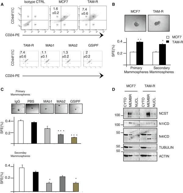 https://cdn.ncbi.nlm.nih.gov/pmc/blobs/4146/4095694/dcf02ce6a8ab/bcr3675-4.jpg