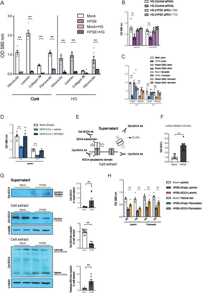 https://cdn.ncbi.nlm.nih.gov/pmc/blobs/4147/11589149/7fe26a584a3d/41598_2024_79501_Fig7_HTML.jpg
