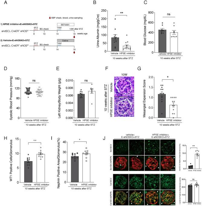 https://cdn.ncbi.nlm.nih.gov/pmc/blobs/4147/11589149/865108906190/41598_2024_79501_Fig8_HTML.jpg