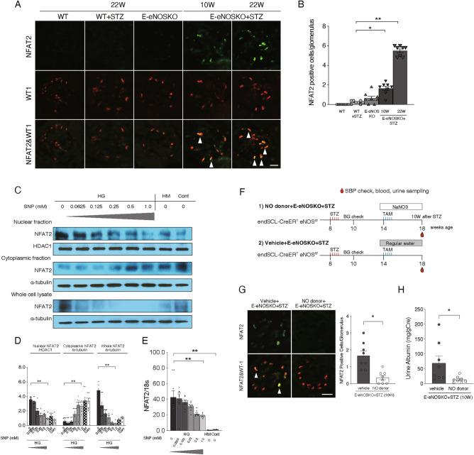 https://cdn.ncbi.nlm.nih.gov/pmc/blobs/4147/11589149/88f7dce8adc1/41598_2024_79501_Fig3_HTML.jpg