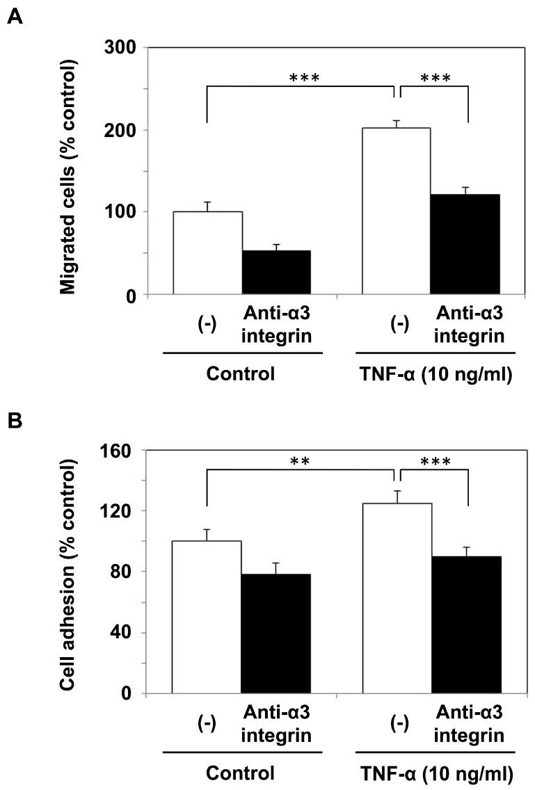https://cdn.ncbi.nlm.nih.gov/pmc/blobs/414b/6321609/82e311f9698f/ijms-19-03961-g005.jpg