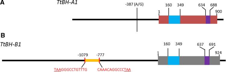 https://cdn.ncbi.nlm.nih.gov/pmc/blobs/414c/8263435/f94716ea4ceb/122_2020_3743_Fig8_HTML.jpg