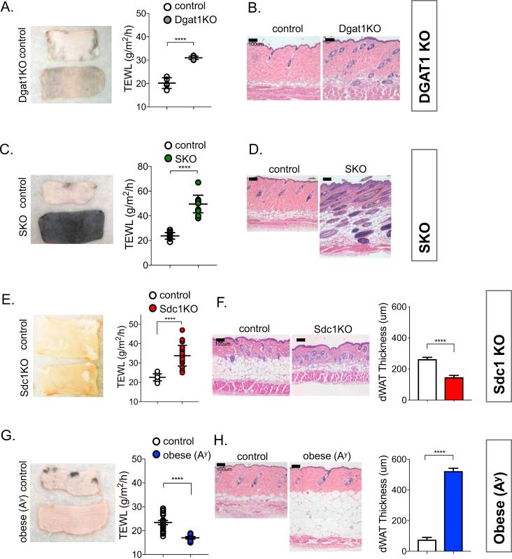 https://cdn.ncbi.nlm.nih.gov/pmc/blobs/414e/6717770/184eaa8cc529/gr4.jpg