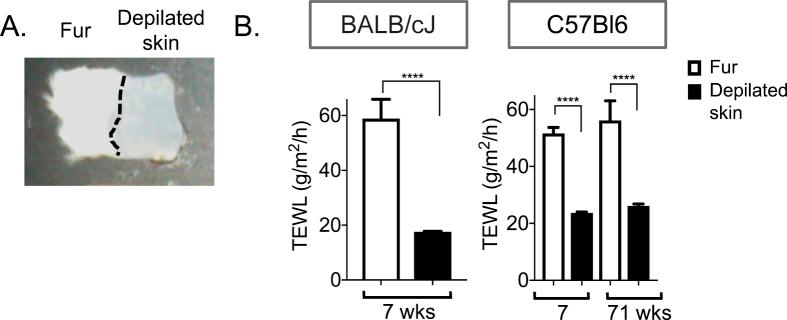 https://cdn.ncbi.nlm.nih.gov/pmc/blobs/414e/6717770/5e34ce261c70/gr6.jpg