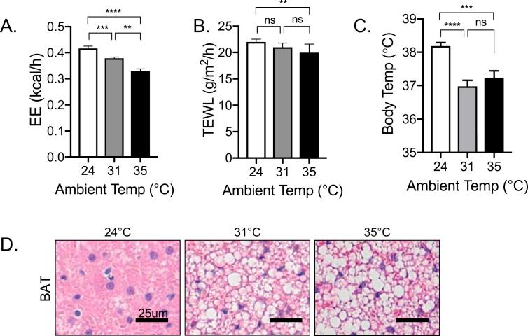 https://cdn.ncbi.nlm.nih.gov/pmc/blobs/414e/6717770/87af12d79ef2/gr7.jpg