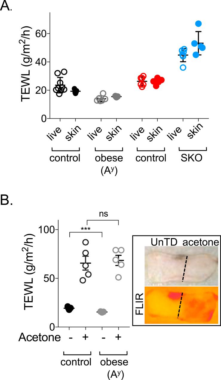 https://cdn.ncbi.nlm.nih.gov/pmc/blobs/414e/6717770/e068b52ad9ce/gr3.jpg