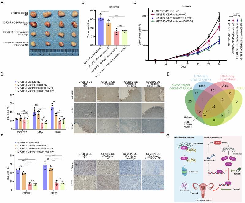 https://cdn.ncbi.nlm.nih.gov/pmc/blobs/414f/12006306/1302ac4e05b2/42003_2025_8065_Fig7_HTML.jpg