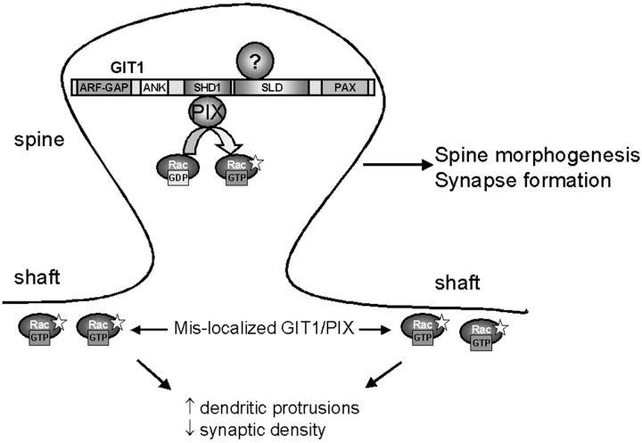 https://cdn.ncbi.nlm.nih.gov/pmc/blobs/4151/2172873/b63201a79527/200211002f8.jpg