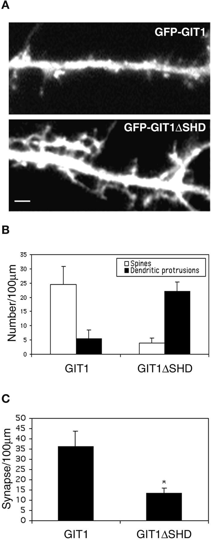 https://cdn.ncbi.nlm.nih.gov/pmc/blobs/4151/2172873/f5ed147b94a3/200211002f4.jpg