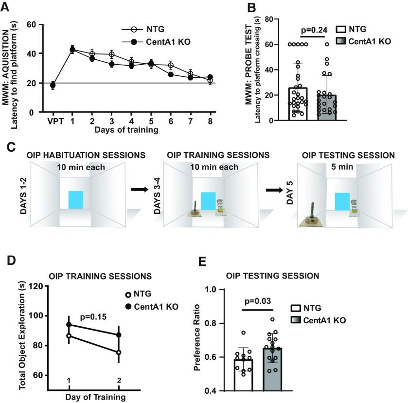 https://cdn.ncbi.nlm.nih.gov/pmc/blobs/4154/7808333/a4cf6920bad3/SN-ENUJ200293F005.jpg