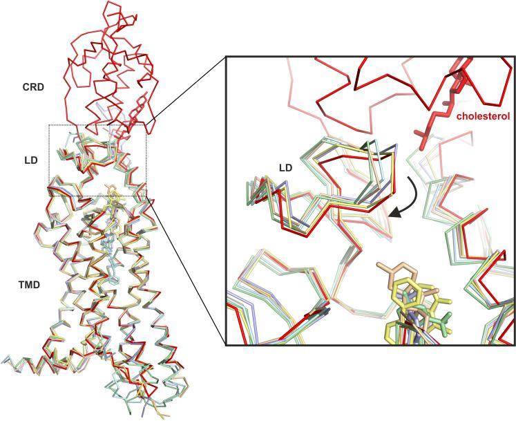 https://cdn.ncbi.nlm.nih.gov/pmc/blobs/4158/4970916/384dcecea063/nihms-796201-f0010.jpg