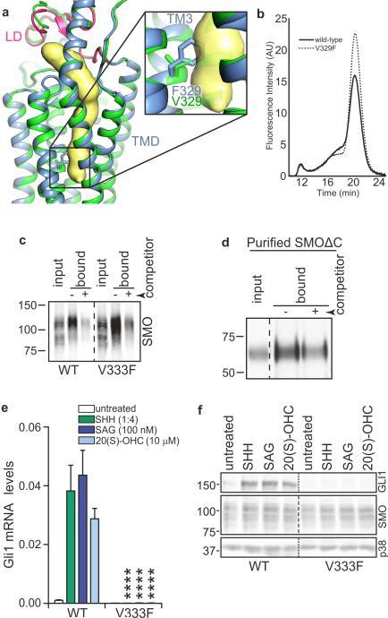 https://cdn.ncbi.nlm.nih.gov/pmc/blobs/4158/4970916/6bcba7138de3/nihms-796201-f0007.jpg