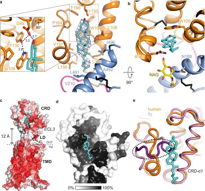 https://cdn.ncbi.nlm.nih.gov/pmc/blobs/4158/4970916/8bc38510c89b/nihms-796201-f0002.jpg