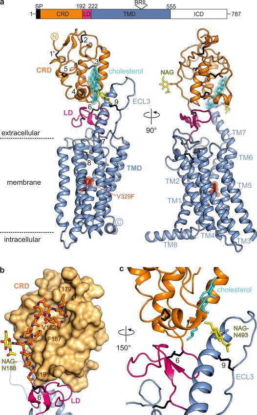 https://cdn.ncbi.nlm.nih.gov/pmc/blobs/4158/4970916/9043891f7e64/nihms-796201-f0001.jpg