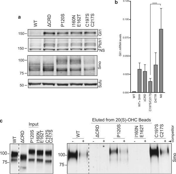 https://cdn.ncbi.nlm.nih.gov/pmc/blobs/4158/4970916/ba54417d4321/nihms-796201-f0012.jpg