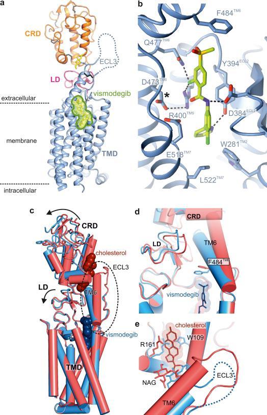 https://cdn.ncbi.nlm.nih.gov/pmc/blobs/4158/4970916/be061d53976f/nihms-796201-f0005.jpg
