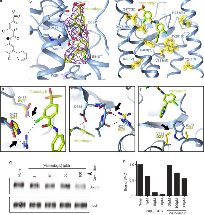 https://cdn.ncbi.nlm.nih.gov/pmc/blobs/4158/4970916/f772b882a2e9/nihms-796201-f0014.jpg