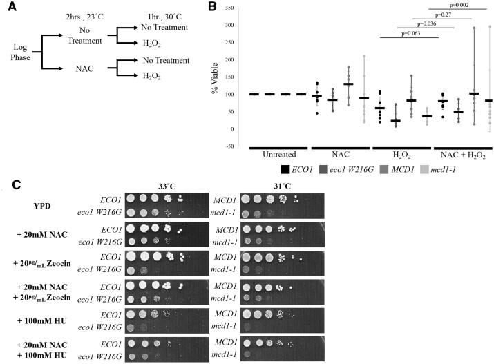 https://cdn.ncbi.nlm.nih.gov/pmc/blobs/415a/9210317/2fccb3815539/jkab426f4.jpg