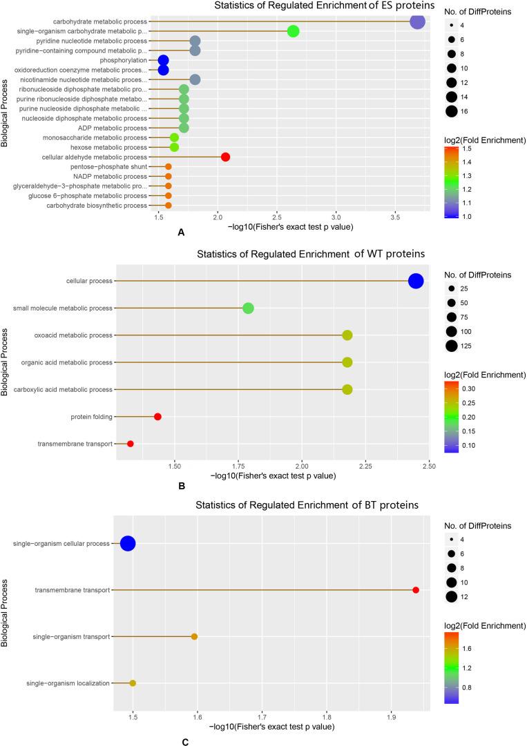 https://cdn.ncbi.nlm.nih.gov/pmc/blobs/415d/7538622/2670b4702afb/fmicb-11-555730-g003.jpg