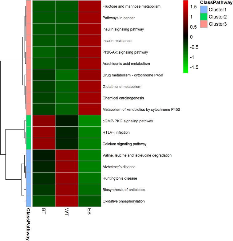 https://cdn.ncbi.nlm.nih.gov/pmc/blobs/415d/7538622/2c47052c7df4/fmicb-11-555730-g004.jpg