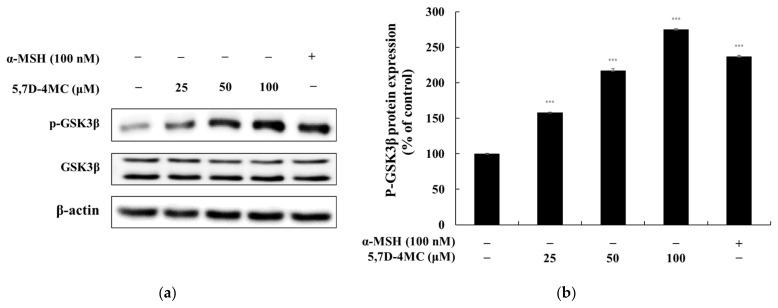 https://cdn.ncbi.nlm.nih.gov/pmc/blobs/415e/12030699/05f90e05788b/pharmaceuticals-18-00463-g008.jpg
