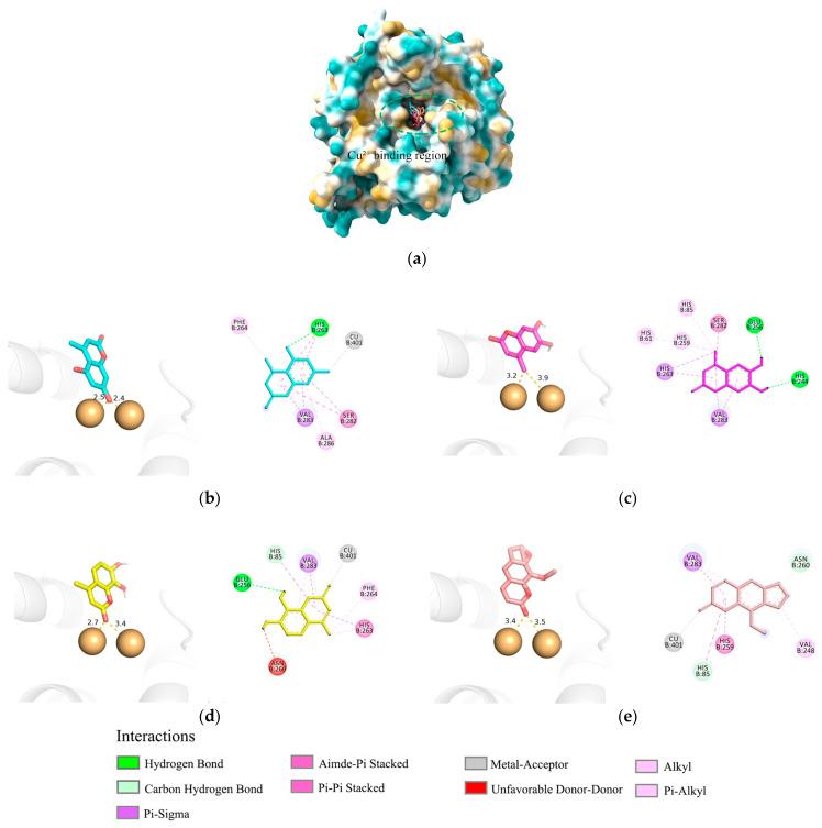 https://cdn.ncbi.nlm.nih.gov/pmc/blobs/415e/12030699/626ee8903de9/pharmaceuticals-18-00463-g003.jpg
