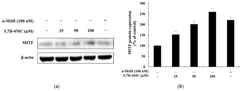 https://cdn.ncbi.nlm.nih.gov/pmc/blobs/415e/12030699/8c8afe0dd7c8/pharmaceuticals-18-00463-g006.jpg