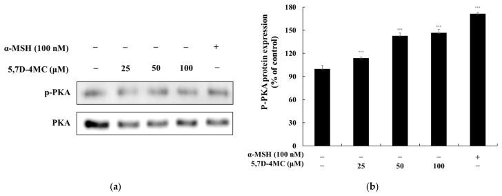 https://cdn.ncbi.nlm.nih.gov/pmc/blobs/415e/12030699/fec29870a6b6/pharmaceuticals-18-00463-g007.jpg