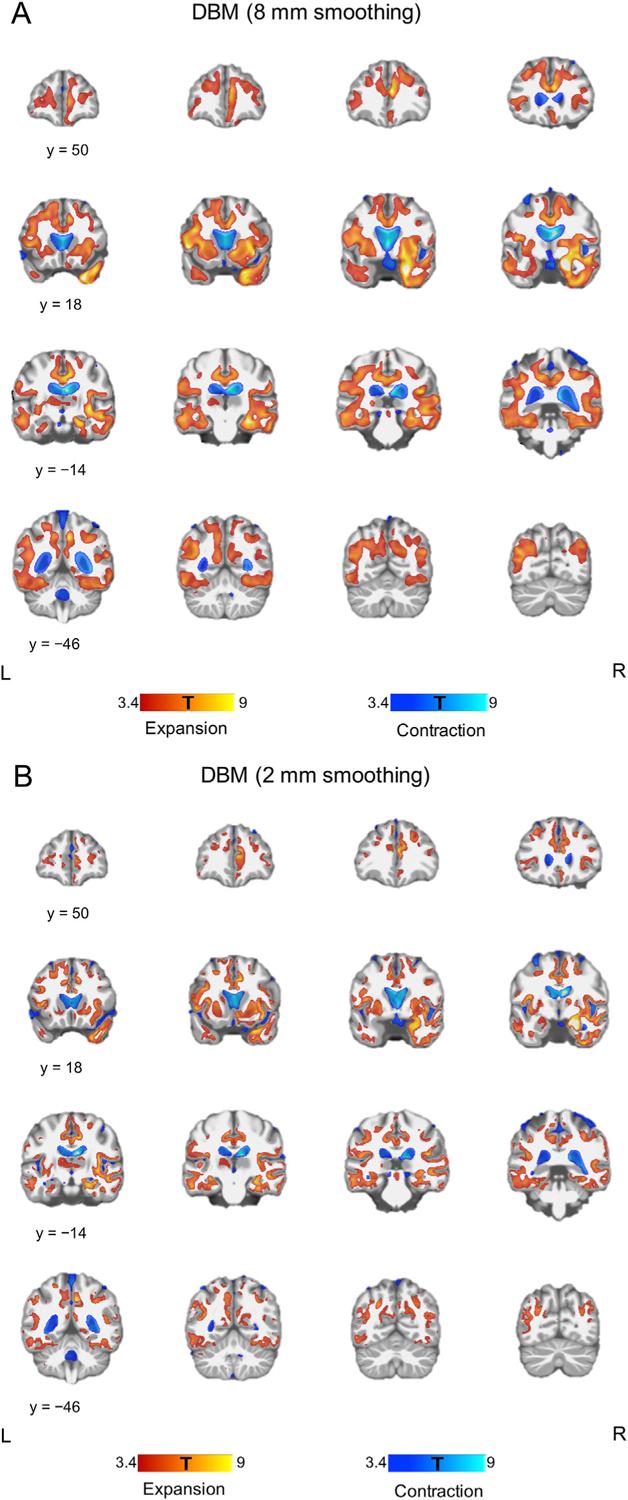 https://cdn.ncbi.nlm.nih.gov/pmc/blobs/415e/8474653/88b94c057b81/nihms-1742053-f0002.jpg