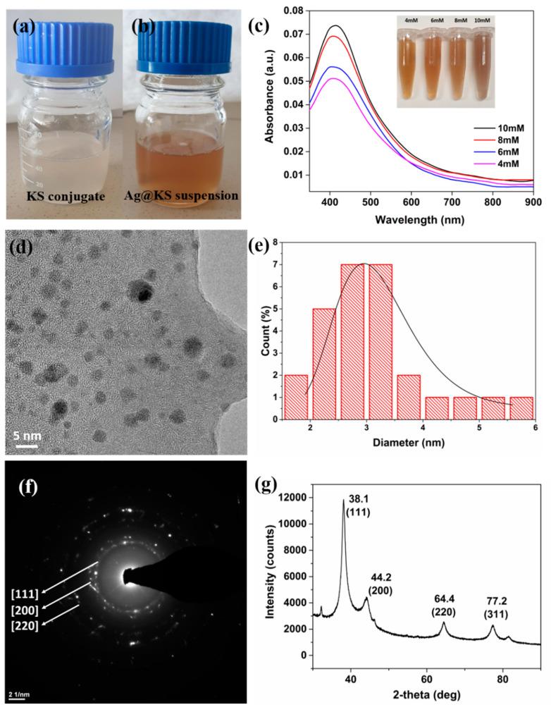 https://cdn.ncbi.nlm.nih.gov/pmc/blobs/415e/9370489/2e014b3d349a/polymers-14-03120-g002.jpg